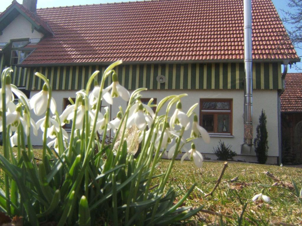 Bio Pension Kirschenfee Sontheim  Exterior photo