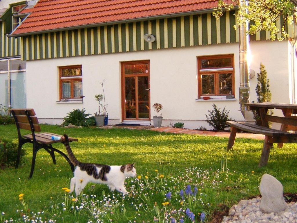 Bio Pension Kirschenfee Sontheim  Exterior photo